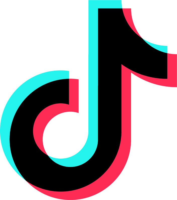 TikTok Logo Icon