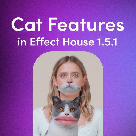 Bring Effects To Furry Friends with Cat Features in Effect House